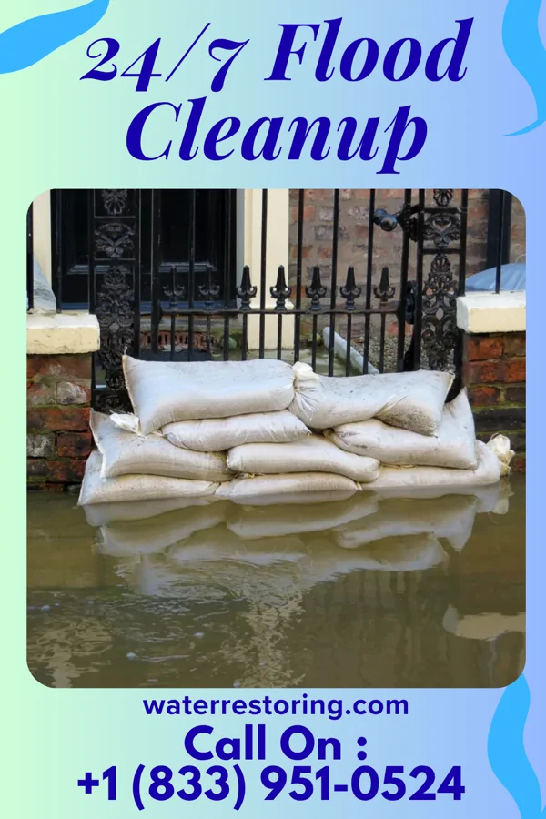 24/7 Flood Cleanup in Carrier Mills, IL