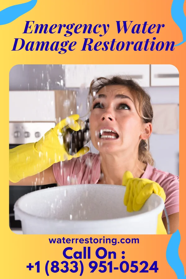 Emergency Water Damage Restoration in Carrier Mills, IL