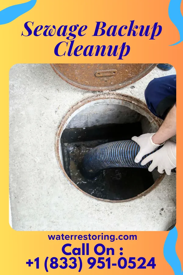 Sewage Backup Cleanup in Carrier Mills, IL