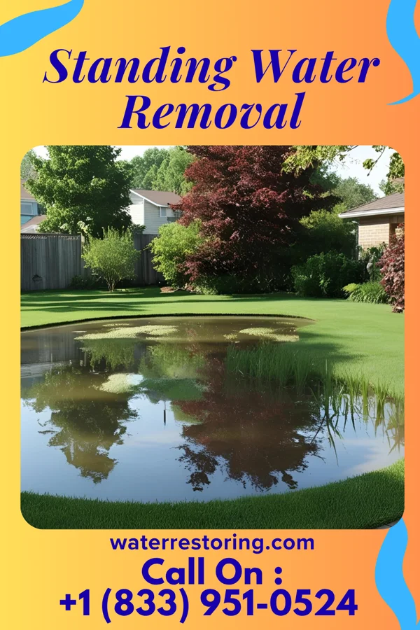 Standing Water Removal in Carrier Mills, IL